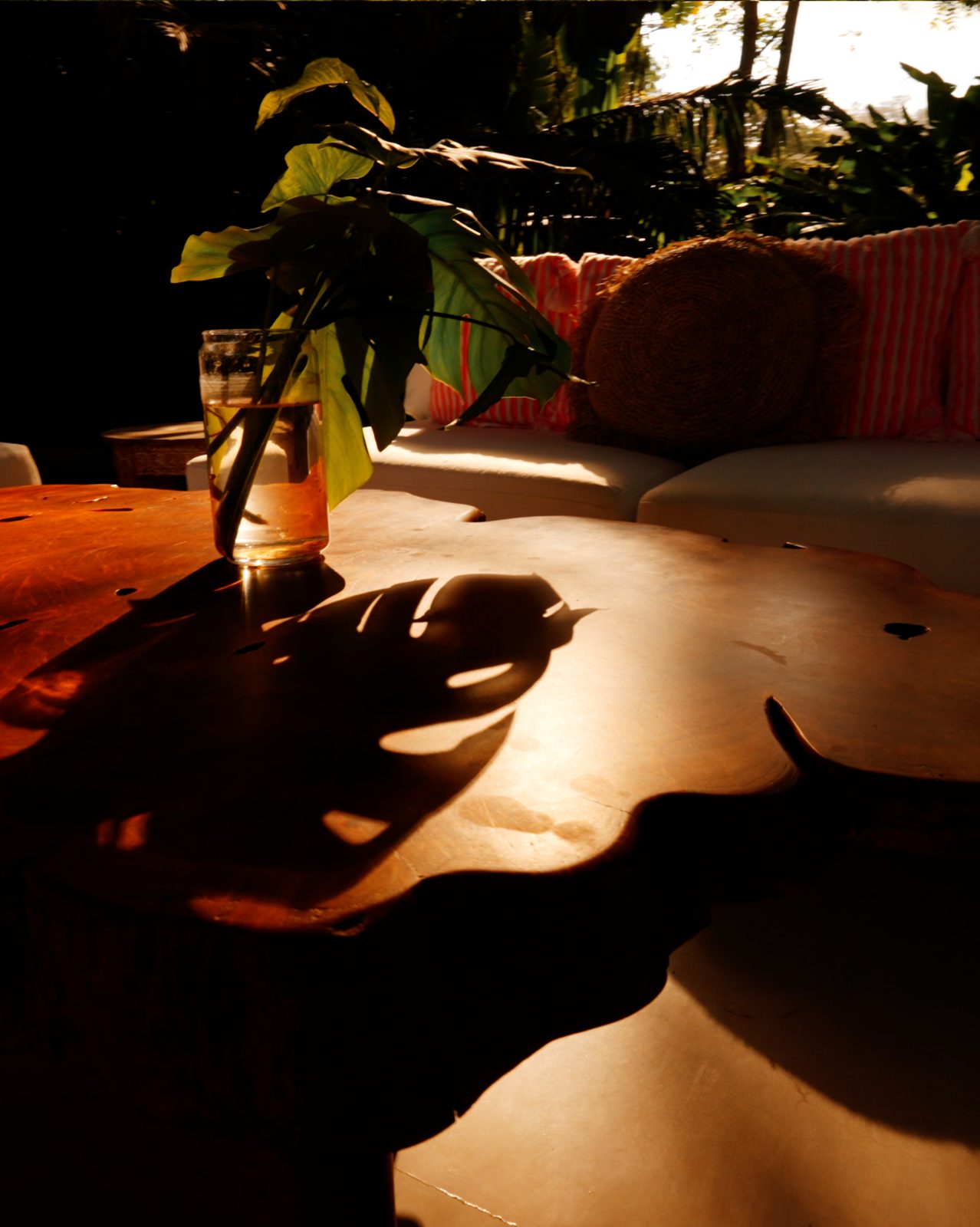 Two birds in flight against pale sky