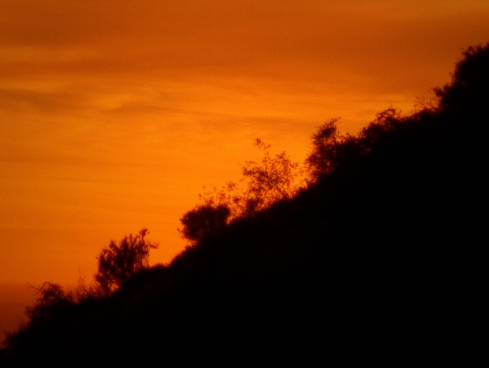 City skyline through metal fence at sunset