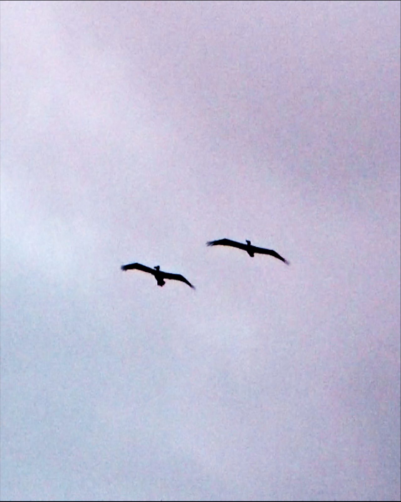 Crescent moon against deep night sky