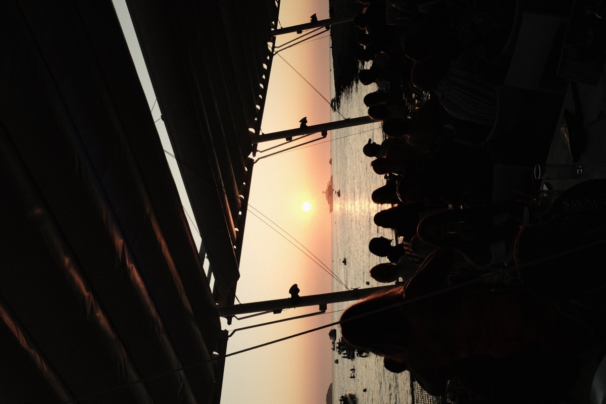 Modern building facade with vegetation