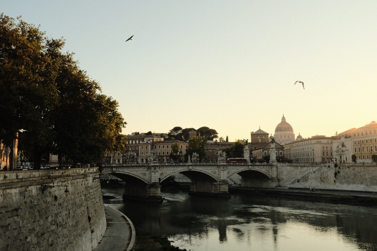 Close-up silhouette with bokeh lights