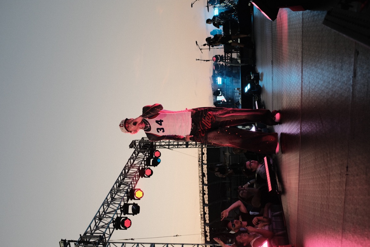 Polaroid photographs on dark surface