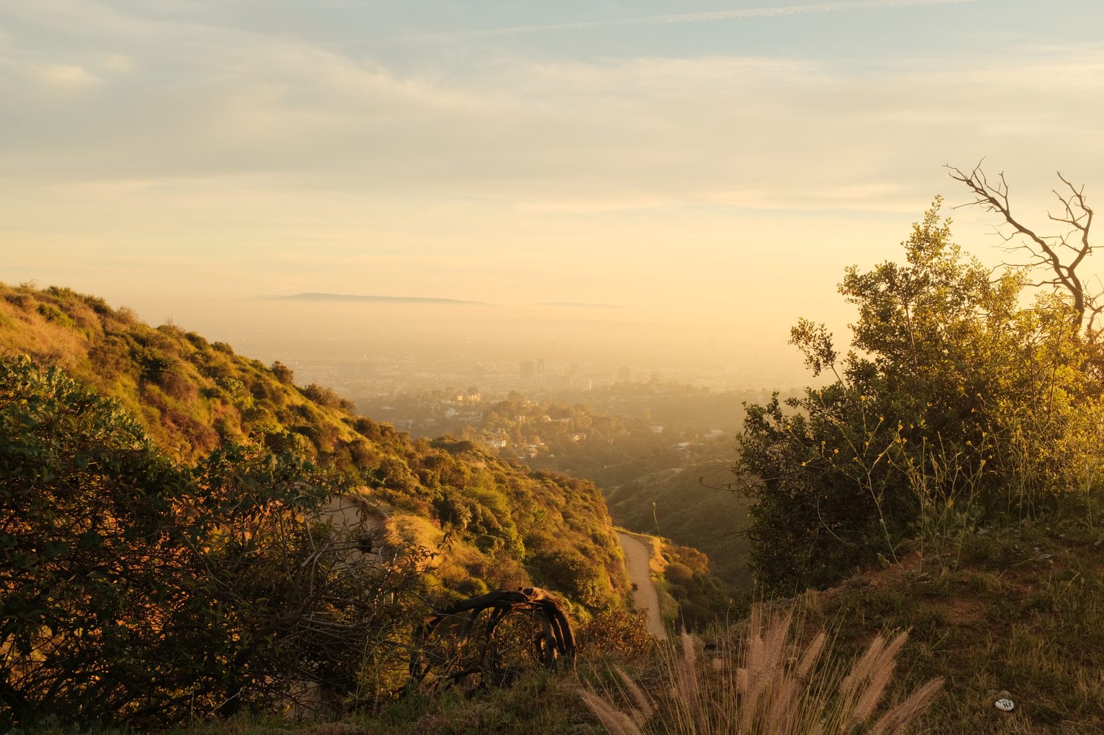 Golden hillside overlooking distant city