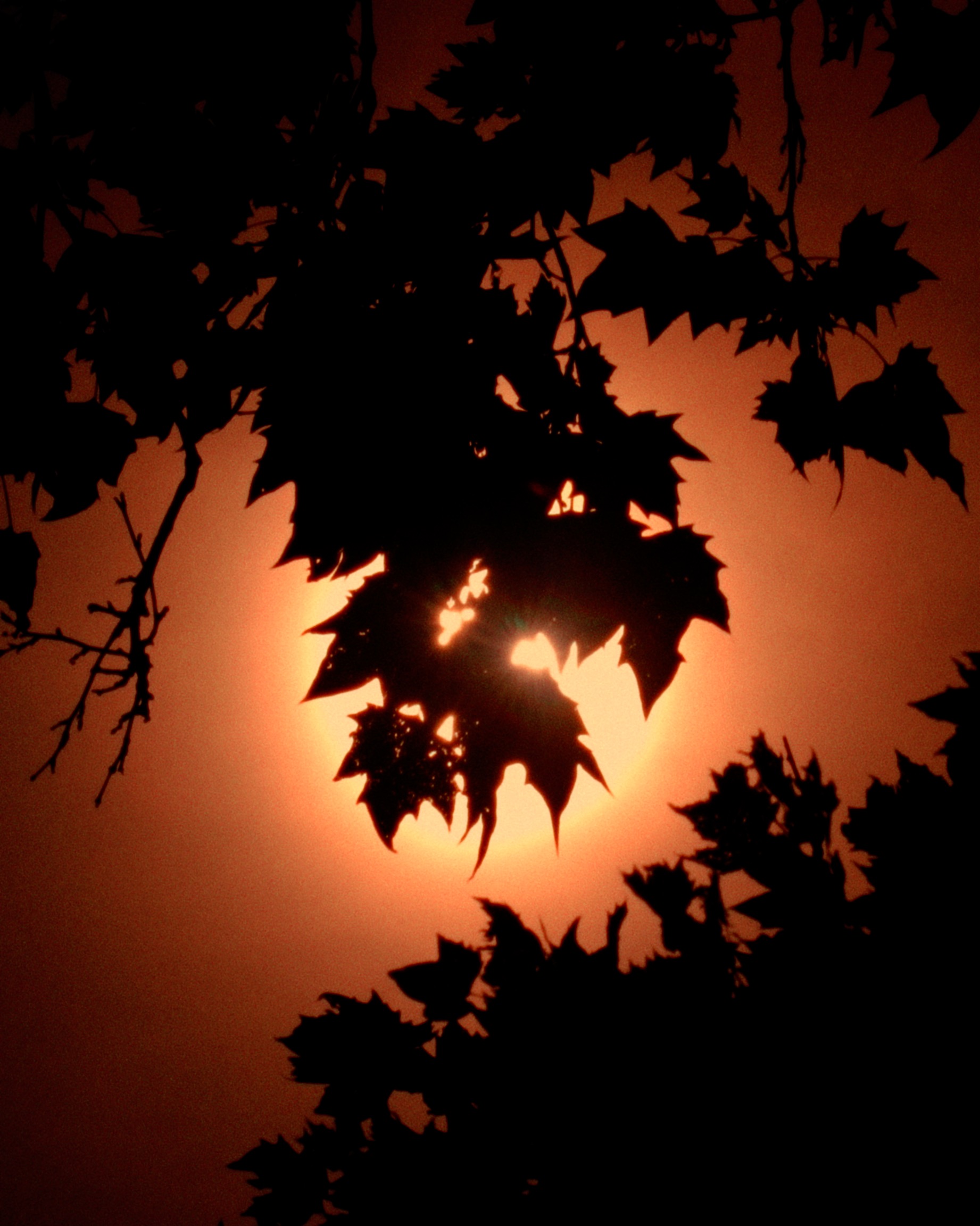 Lululemon outdoor lounge in warm light