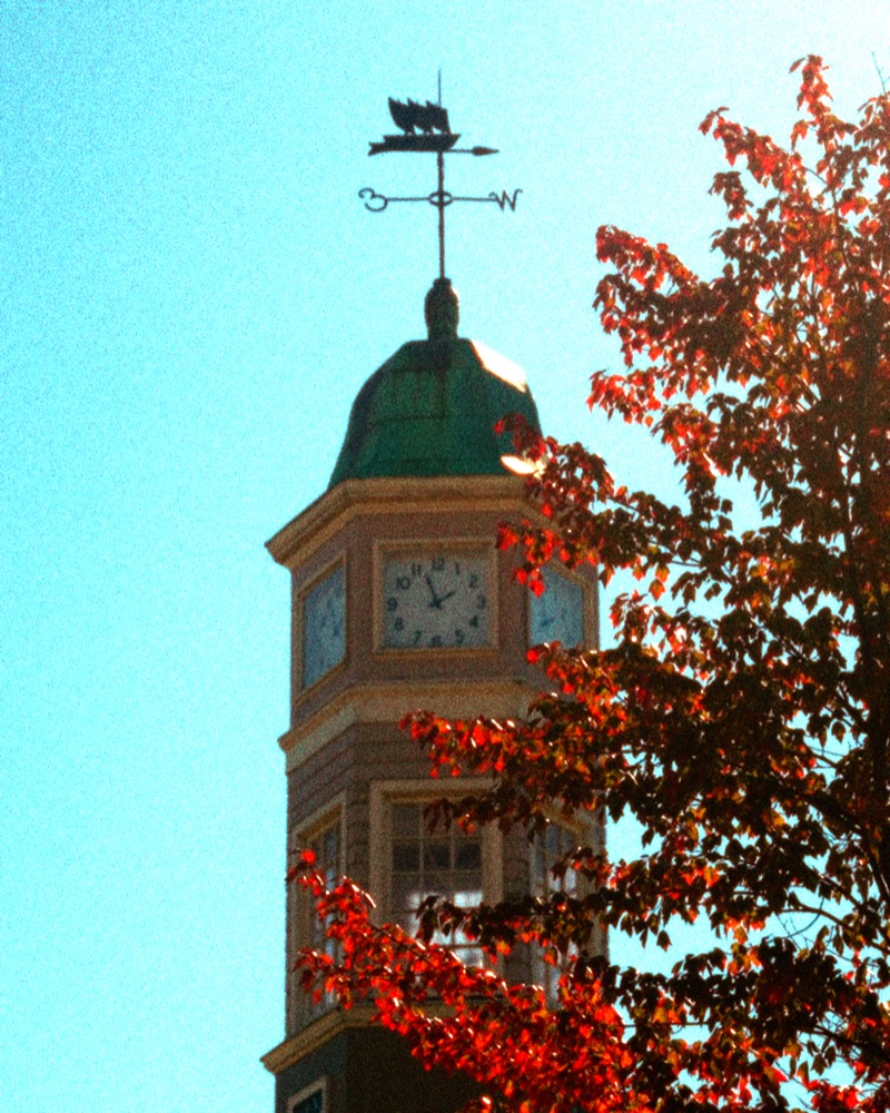 Clock tower with autumn leaves and teal sky